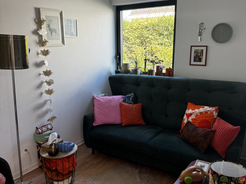 Local disponible à Sélestat