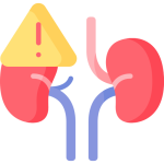 kidney(1)